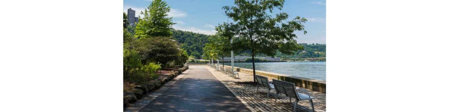Yamuna riverfront project to finally take off in November 2016