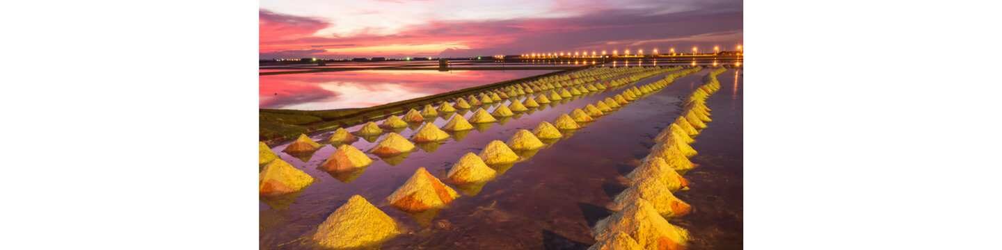 Governor’s intervention sought to stop east coast, salt pan development in Mumbai