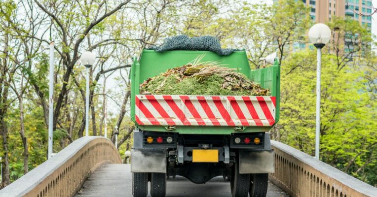 Experts present solutions for garbage 'mountains' in Delhi