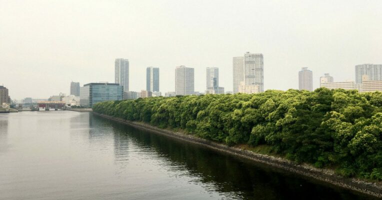 New wetland management rules are a complete disaster: Experts