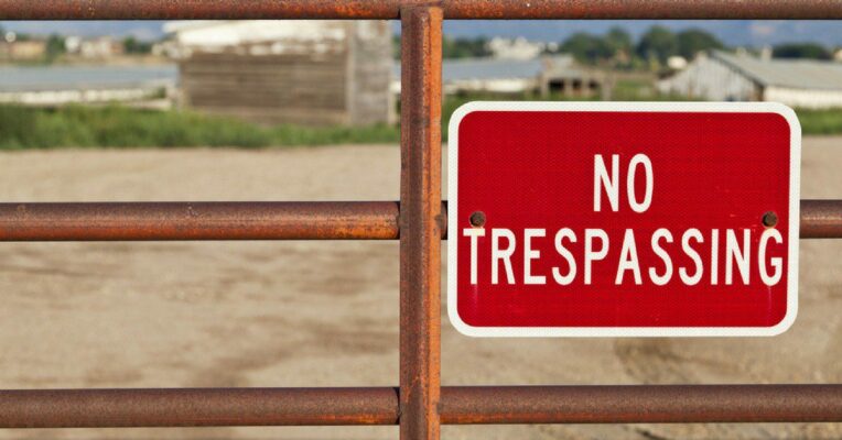 Nobody can encroach upon property in charity's name: Delhi HC