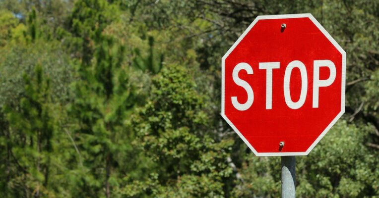 No tree felling at Pragati Maidan without authorities’ nod: Delhi government to NGT