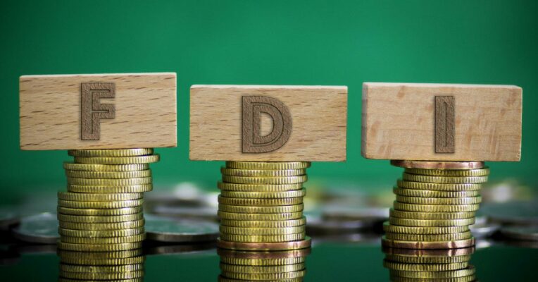 Government allows 100 per cent FDI in single-brand retail via automatic route