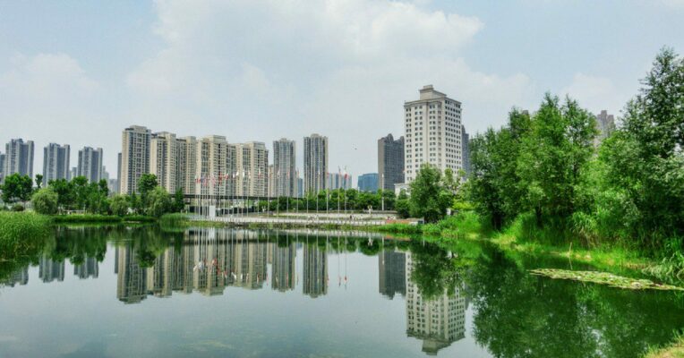 Use satellite mapping to monitor, protect wetlands: Bombay HC