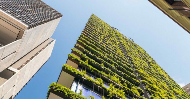 Delhi environment minister moots development of vertical gardens to tackle pollution