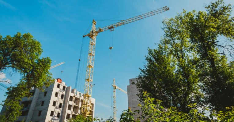 South Delhi redevelopment: Will plant two lakh trees, for felling 14,000, says NBCC