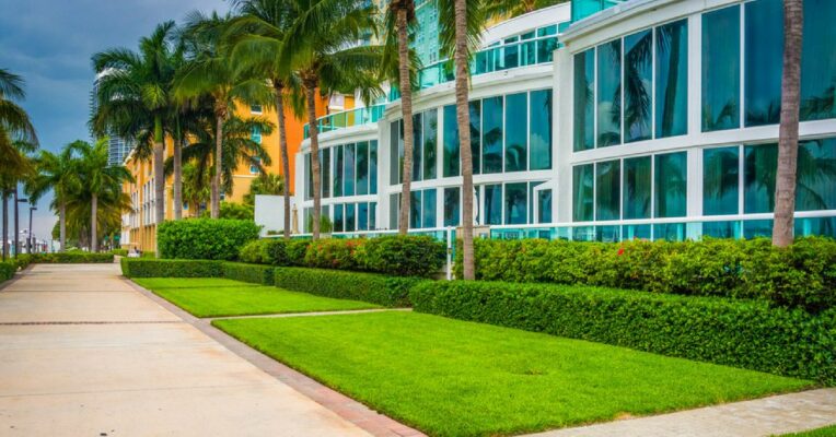 Green cover along roads, as Noida prepares 'dust-free zones' to check pollution