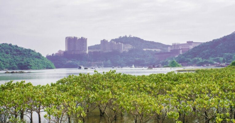 Notification for identification of wetlands issued: MoEF informs NGT