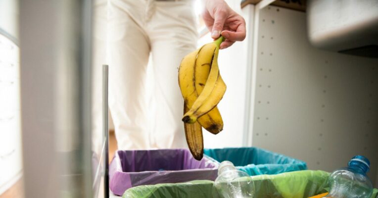 Need to reduce waste at household level, to minimise burden: Environment experts