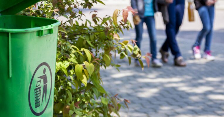 Swachh Survekshan 2019 completed in 28 days, lacked expert surveyors: CSE