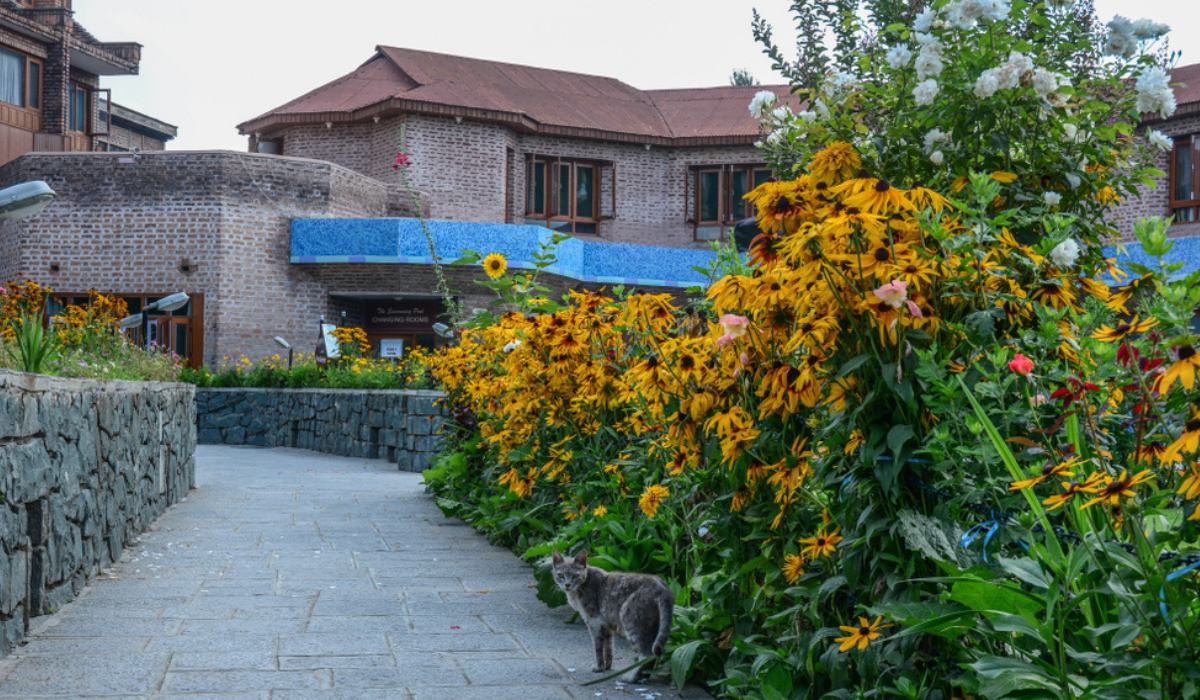 Should You Invest In Property In Jammu & Kashmir, Ladakh?