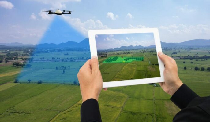 All about land survey number