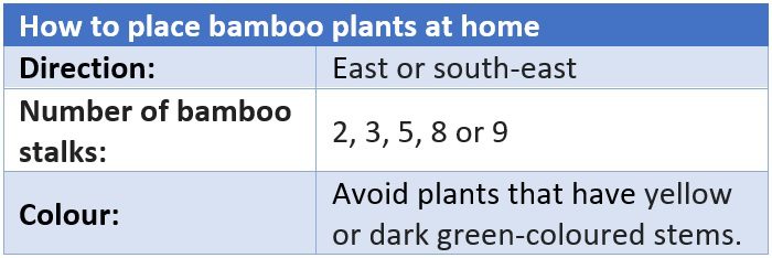 Vastu tips for keeping bamboo plant at home