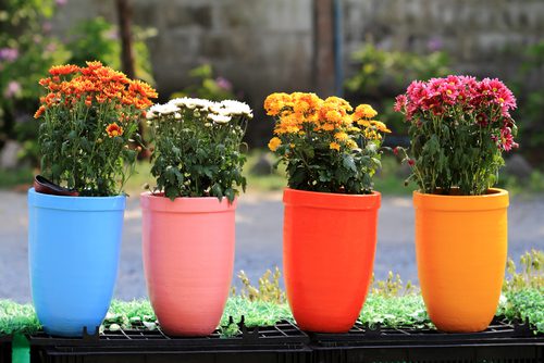 flower designs on pots