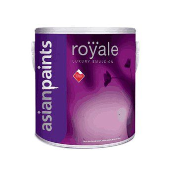 Plastic on sale paint price