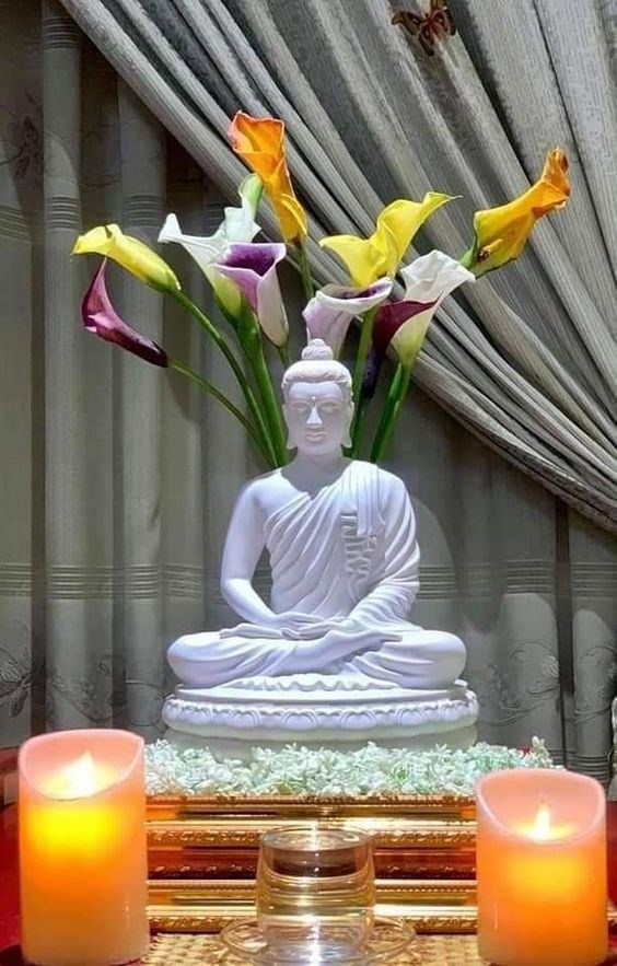 Dispel Fear of All Types by Bringing Home Buddha Statue in His Great Abhaya  mudra Form