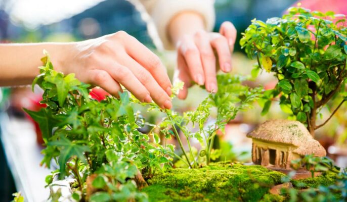 10 Miniature garden ideas for your home