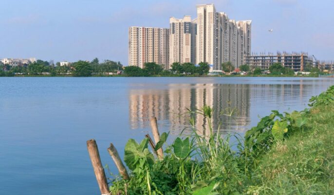 Is living close to wetlands a good idea? Find out here featured-compressed