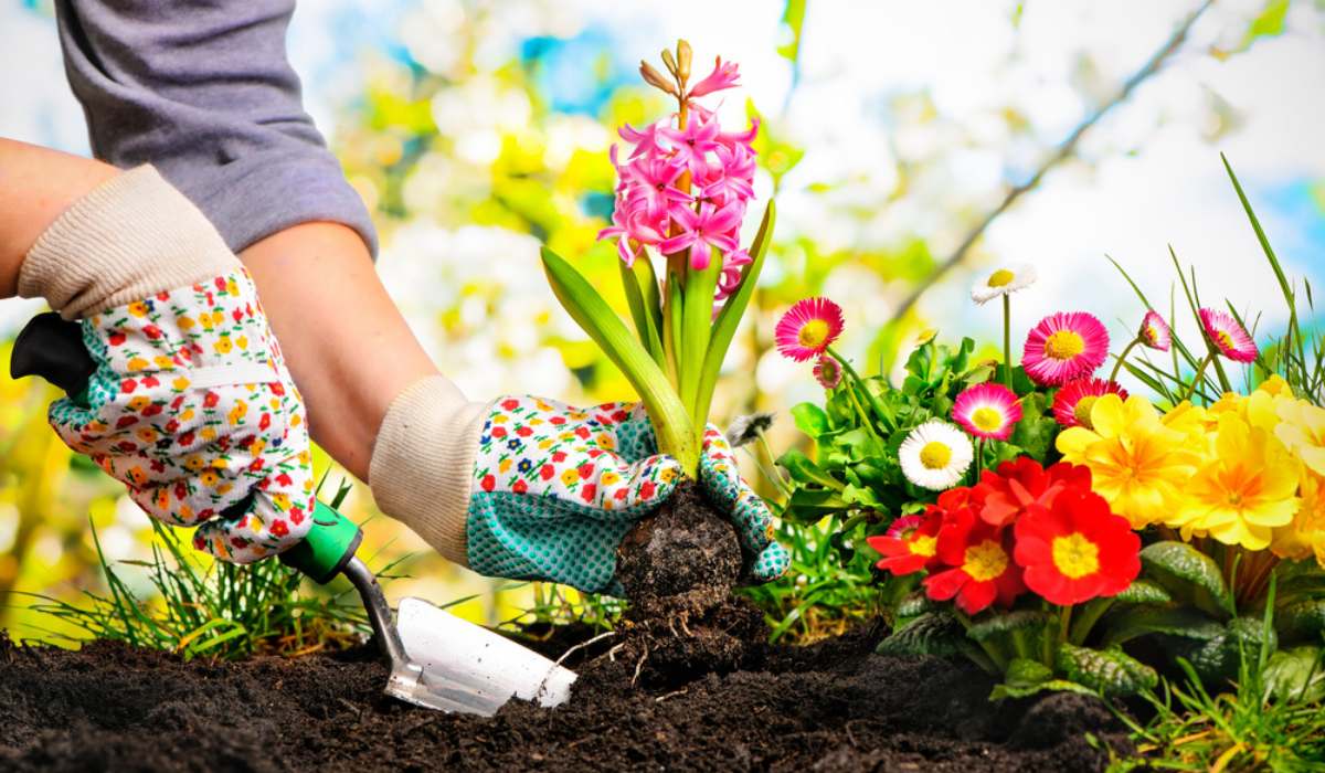 Essential Tools And Supplies for Rooftop Flower Gardens: A Complete Checklist  