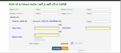 How to check Pahani or Adangal on Maa Bhoomi Telangana