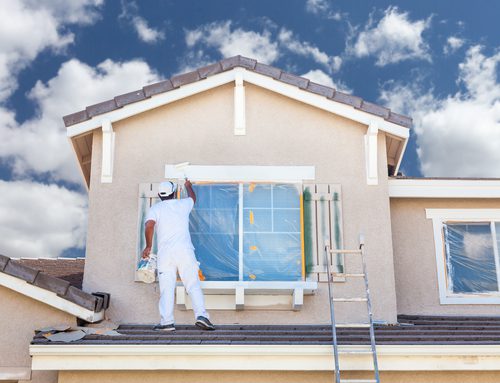 Roof Waterproof Paint at Rs 300/litre, Architectural Coating in Tiruvallur