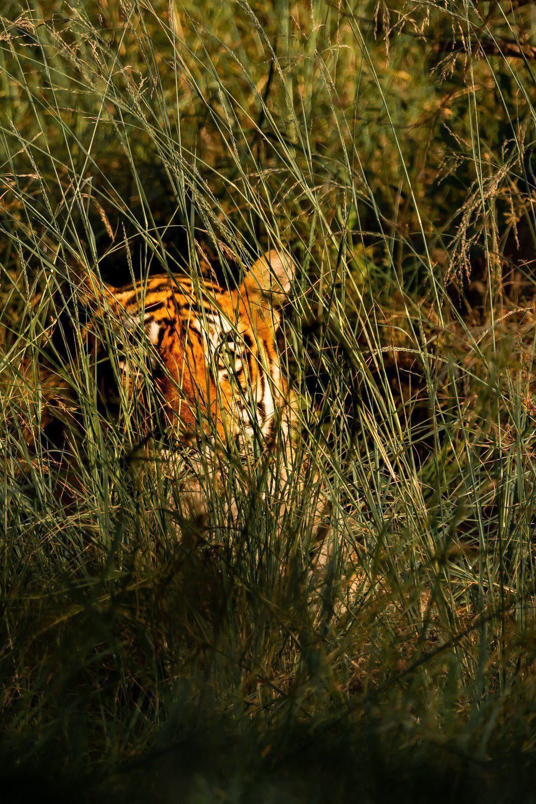 ರಾಜಸ್ಥಾನದಲ್ಲಿ ಭೇಟಿ ನೀಡಲು 15 ಅತ್ಯುತ್ತಮ ಸ್ಥಳಗಳು