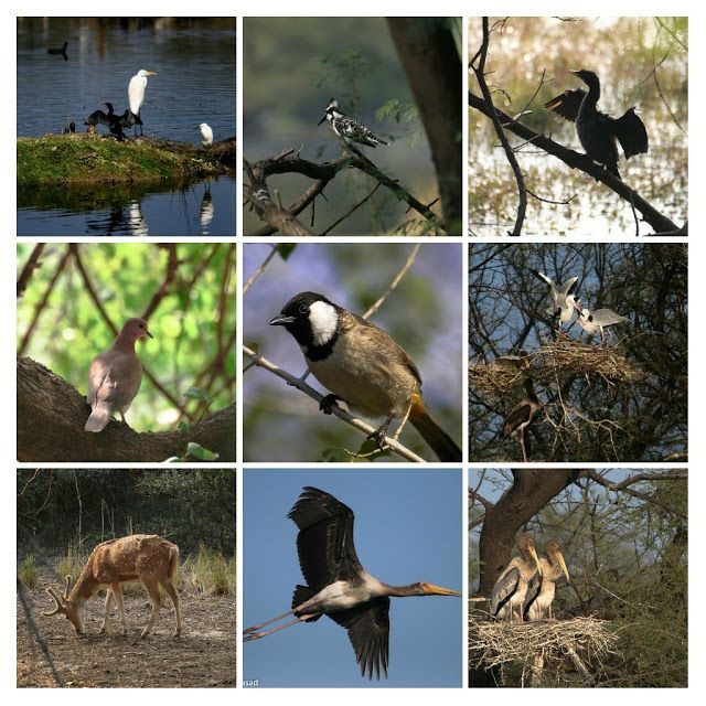 ರಾಜಸ್ಥಾನದಲ್ಲಿ ಭೇಟಿ ನೀಡಲು 15 ಅತ್ಯುತ್ತಮ ಸ್ಥಳಗಳು