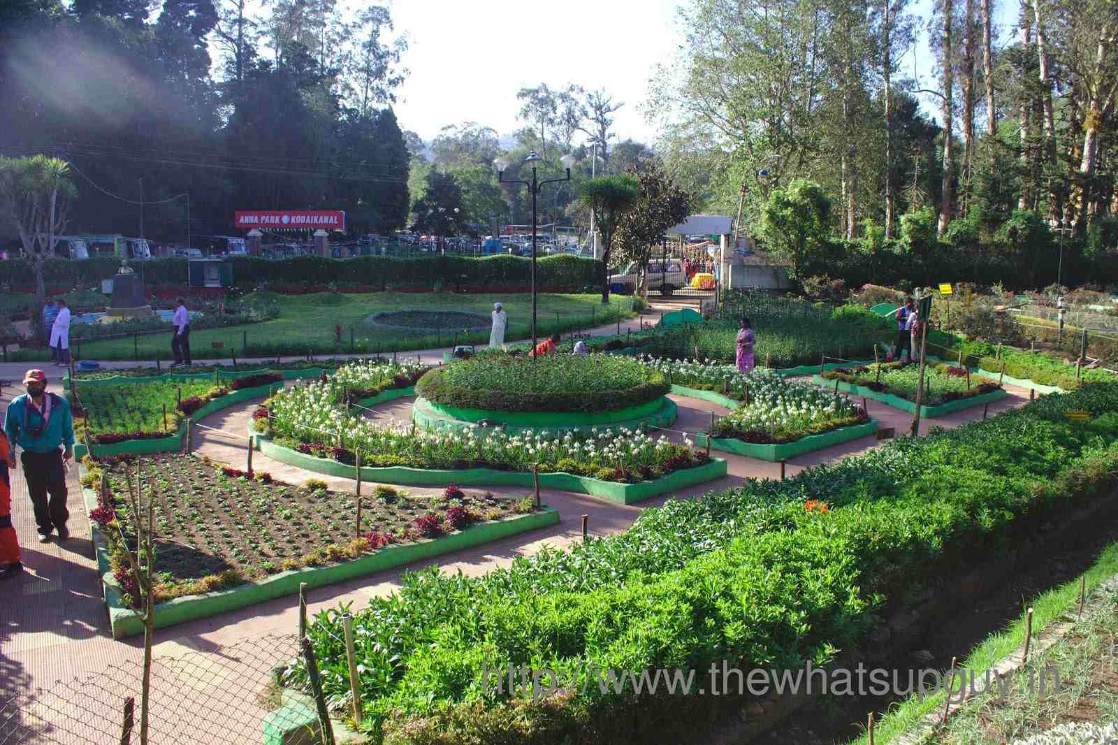 visit place of kodaikanal