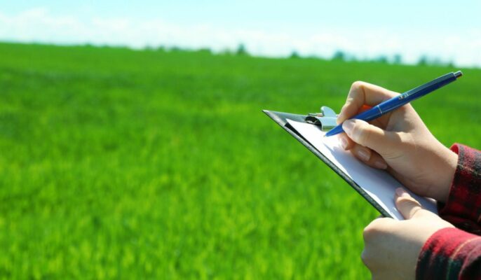 Ferfar: How to check this land document online on Mahabhulekh?
