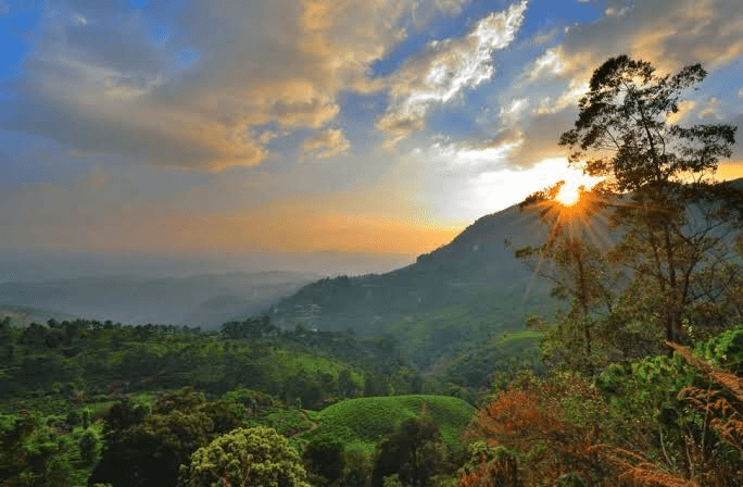 15 Best Munnar Places To Visit