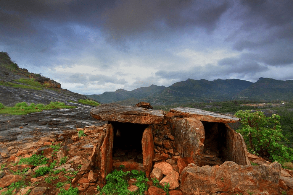 15 Best Munnar Places To Visit