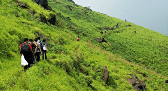 16 मदिकेरी पर्यटन स्थल और करने के लिए चीजें