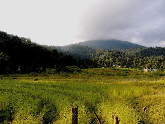 மேற்கு வங்கத்தின் சிறந்த சுற்றுலா இடங்கள்