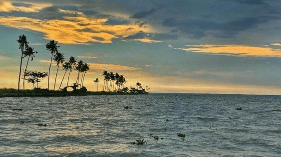 alleppey near tourist places