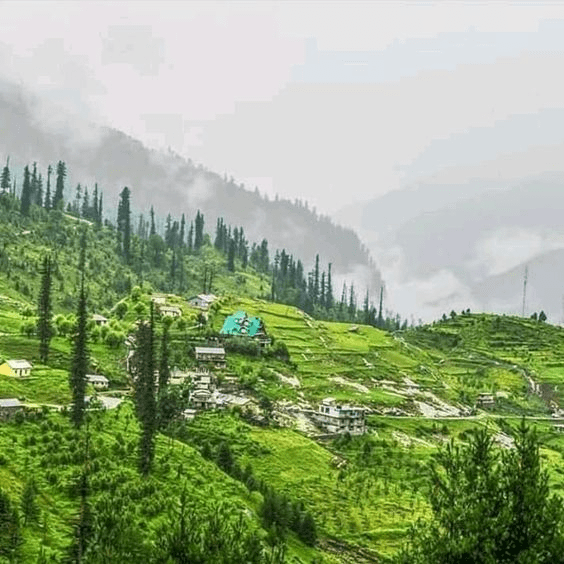 tourist places near auli himachal pradesh