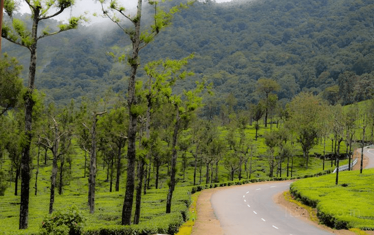 9 places to visit in Valparai