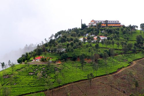 Places to visit in Coonoor for a picturesque trip