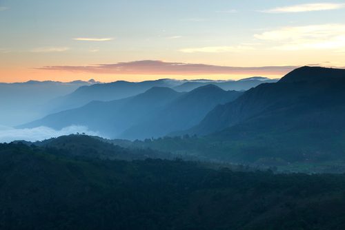 Places to visit in Coonoor for a picturesque trip