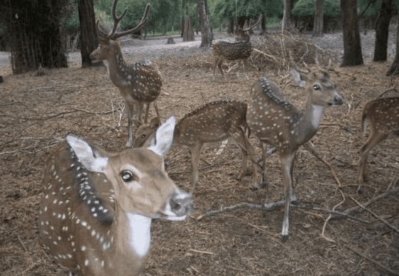 ఉత్తమ ఎర్కాడ్ పర్యాటక ప్రదేశాలు