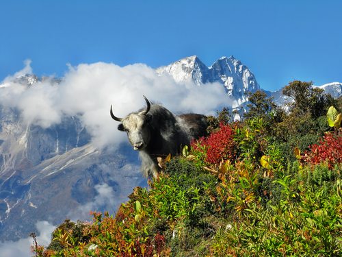 Places to visit in Nepal