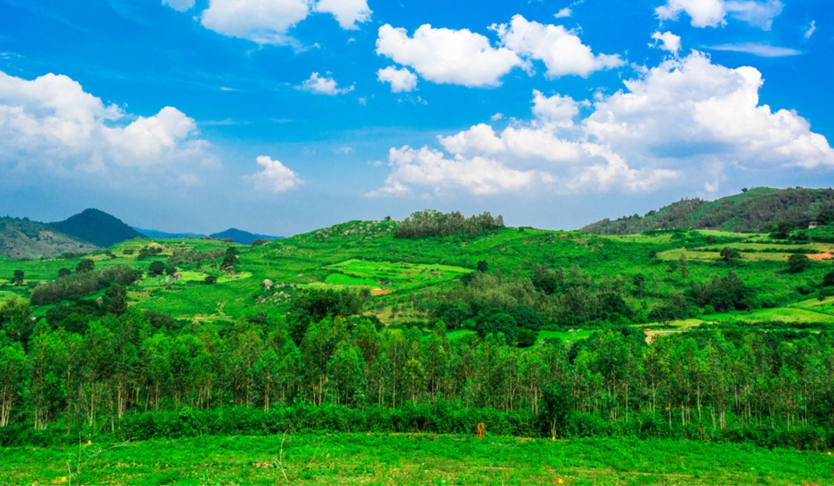 Araku Valley Tourist Places Places To Visit And Things To Do