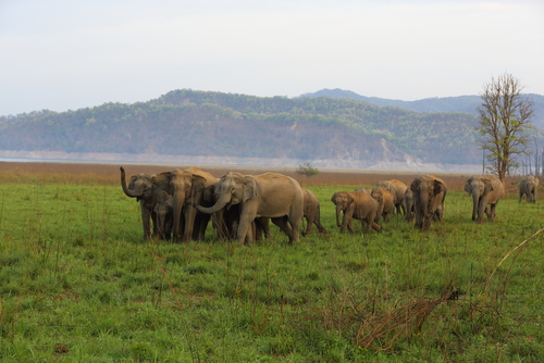 15 unique places to visit in India