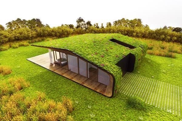 What is Eco-Friendly House: How to make your existing home eco-friendly