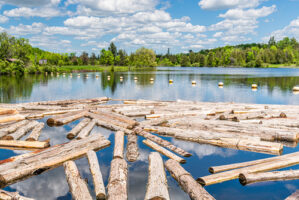 Seasoning of timber: Types, advantages and disadvantages