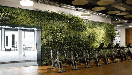 Gym interior design 