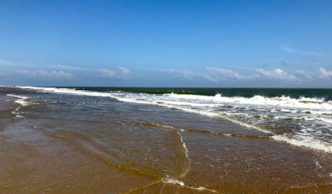 Best resorts in ECR, Chennai for an unforgettable holiday