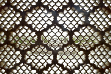 2025 में आपके घर के लिए 29 बेहतरीन मॉडर्न जालीदार दरवाजे के डिजाइन आइडिया