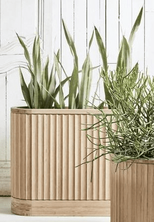Stand for planters: Design ideas for your houseplants