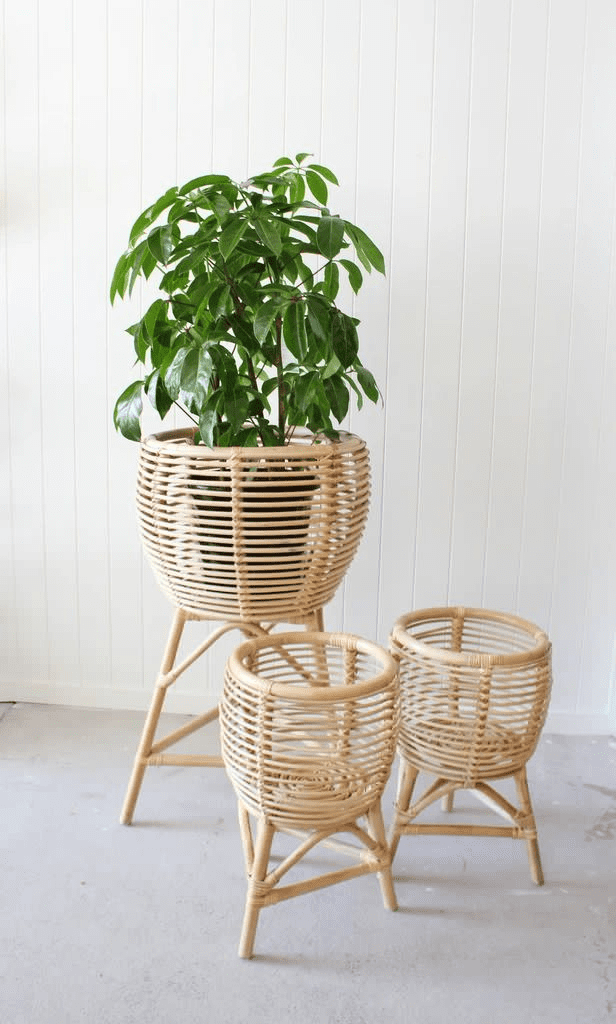 Stand for planters: Design ideas for your houseplants