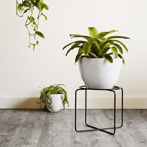 Stand for planters: Design ideas for your houseplants